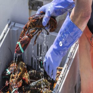 GUANTE Z35 JOMIBA PVC LISO Y RUGOSO